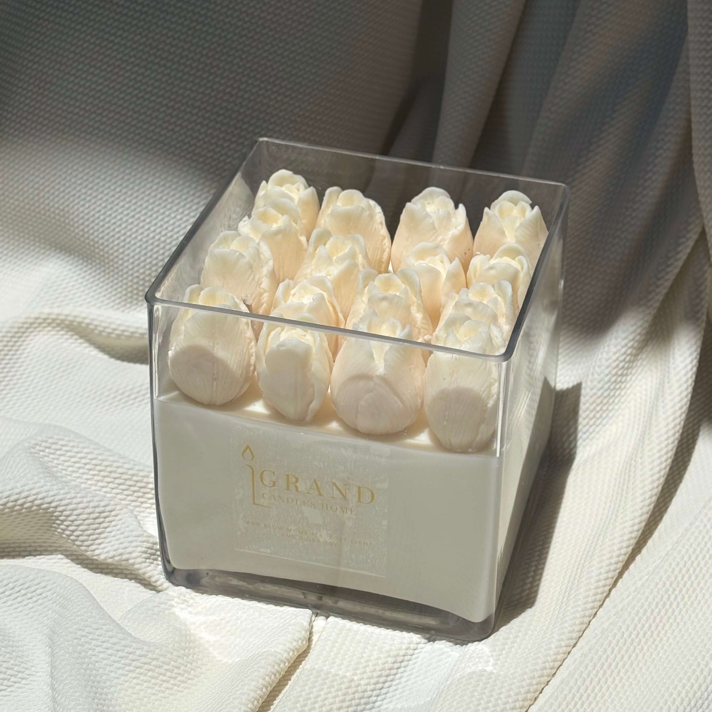 ROYAL TULIP GLOW