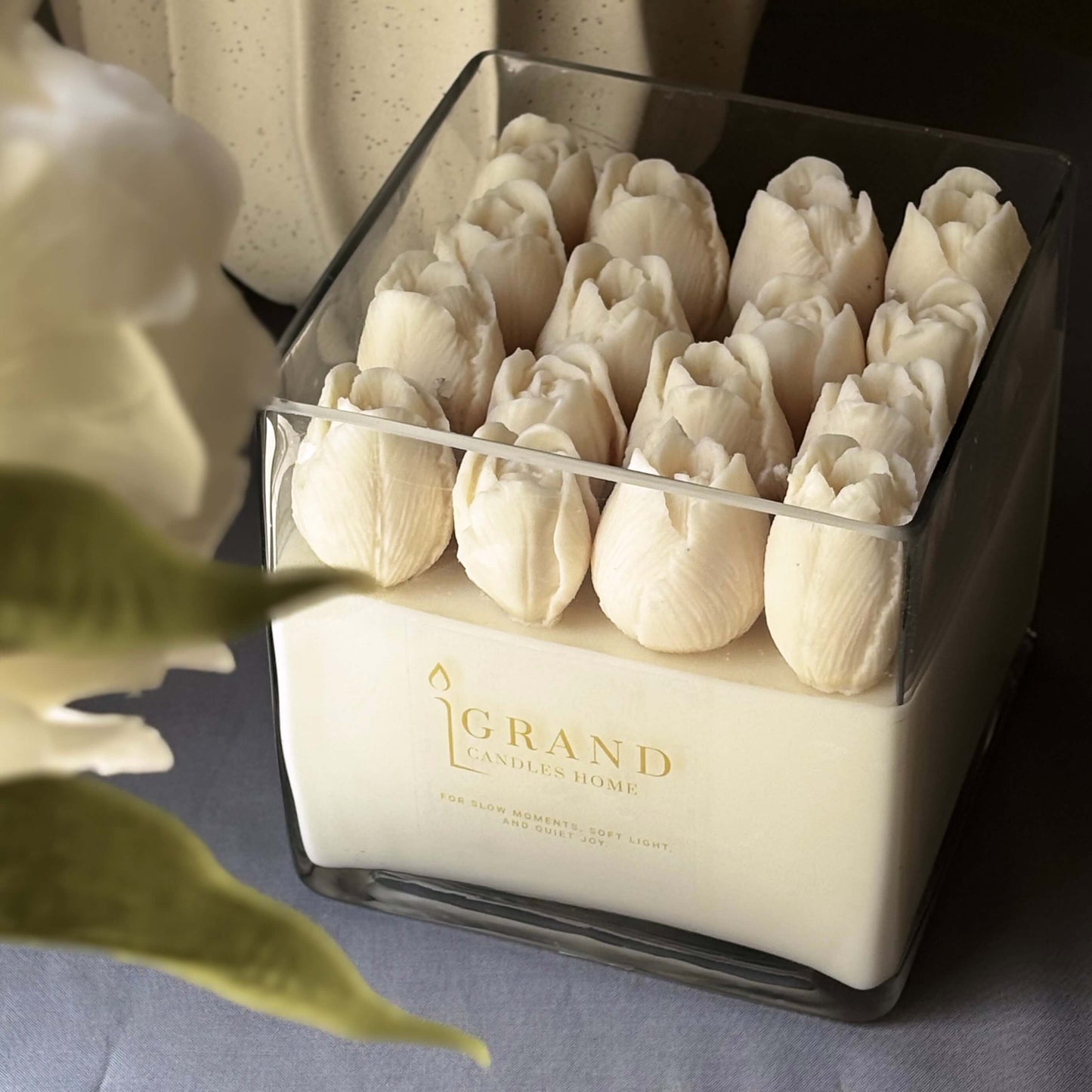 ROYAL TULIP GLOW