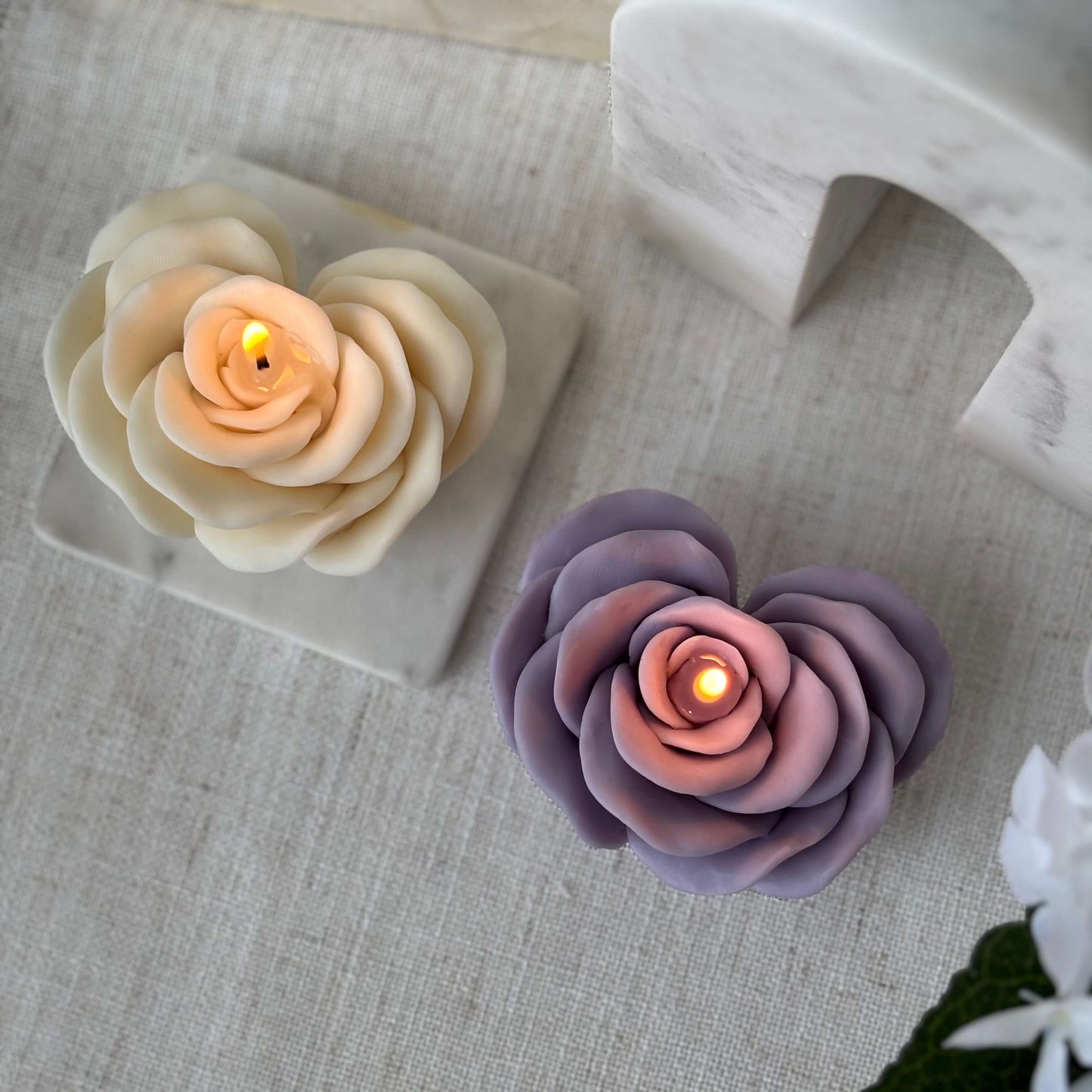 ELEGANT ROSE