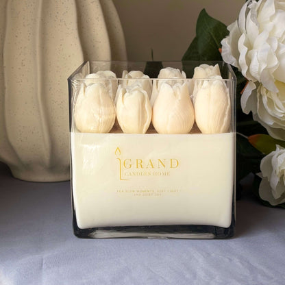 ROYAL TULIP GLOW